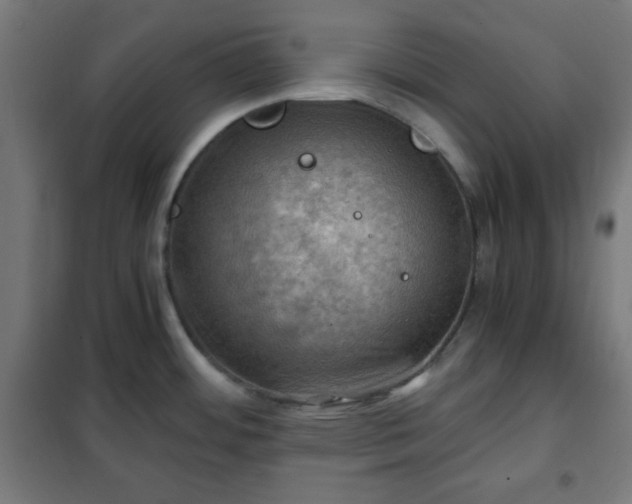 X0000102011484200807251256