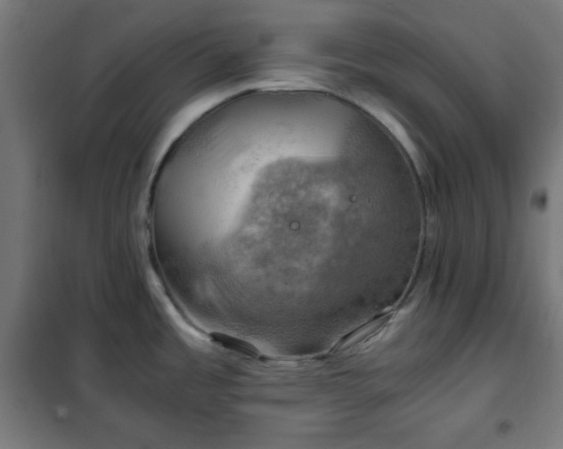 X0000102011485200807251256