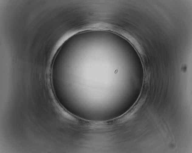 X0000102011486200807251256