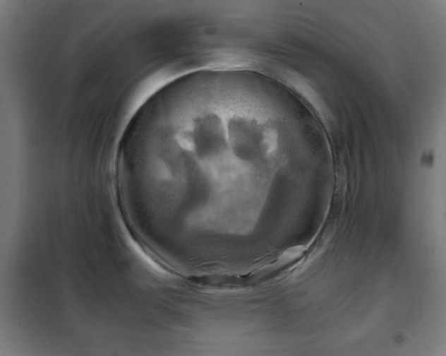 X0000102011487200807251256