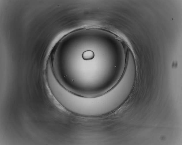 X0000102011488200807251256
