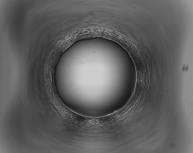 X0000102011489200807251255