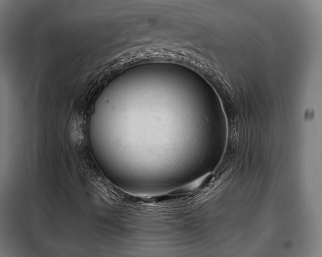 X0000102011490200807251256