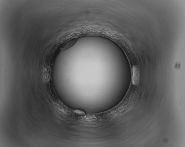 X0000102011491200807251256
