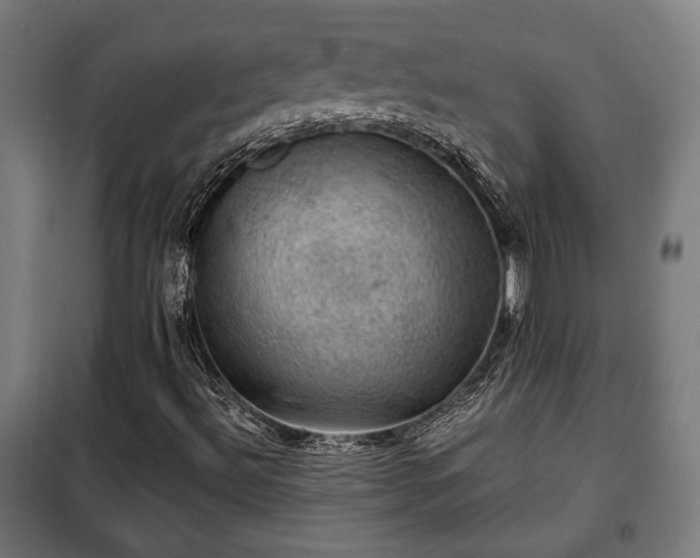 X0000102011492200807251256