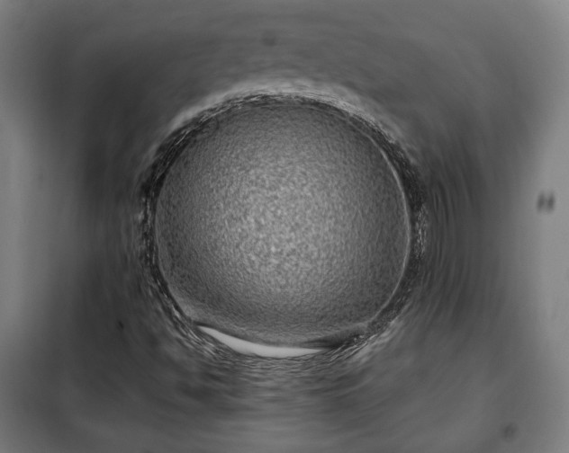 X0000102011494200807251256