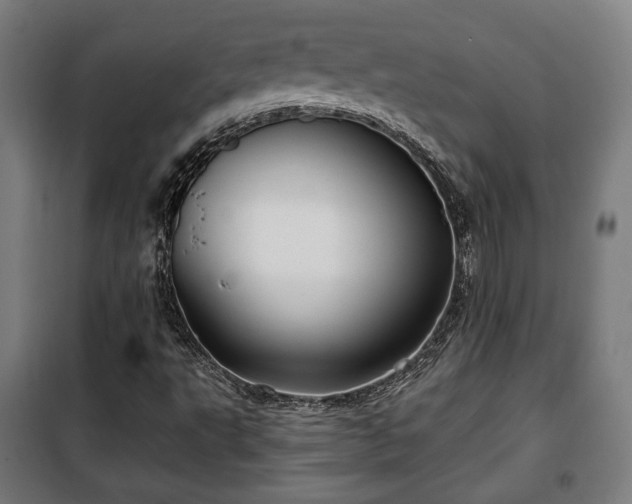 X0000102011495200807251256