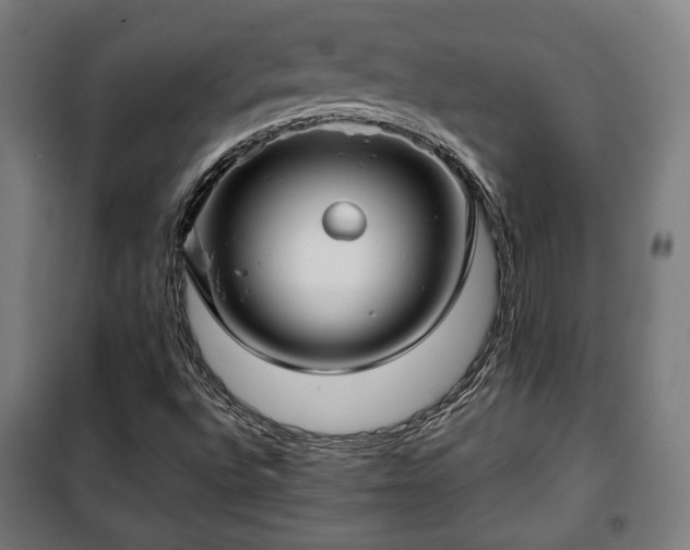 X0000102011496200807251256
