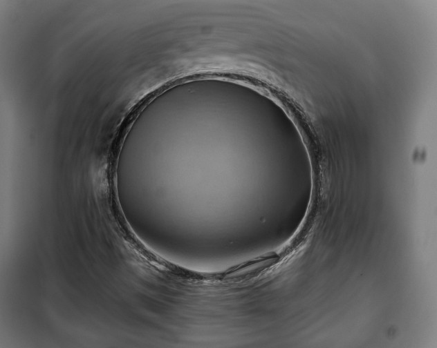 X0000102011497200807251256