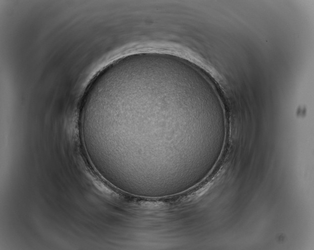 X0000102011498200807251256