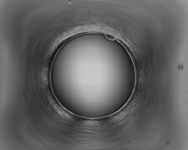 X0000102011499200807251256
