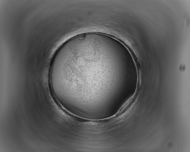 X0000102011500200807251256