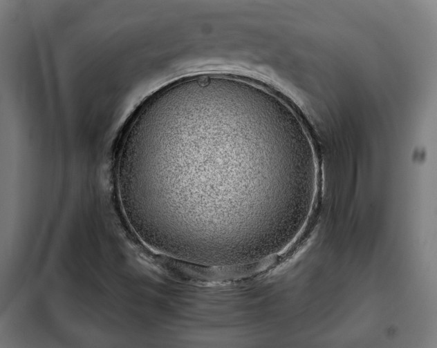 X0000102011501200807251256