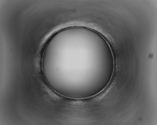 X0000102011502200807251256