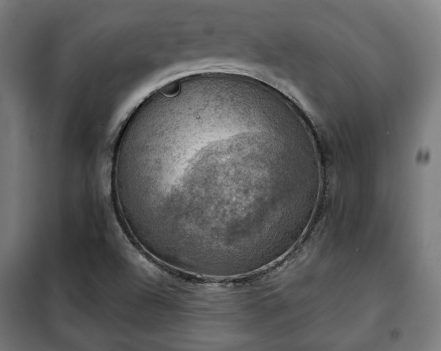 X0000102011504200807251256