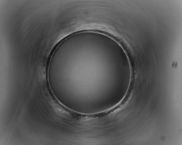 X0000102011505200807251256