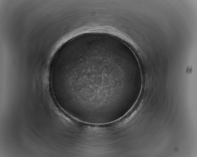 X0000102011506200807251256