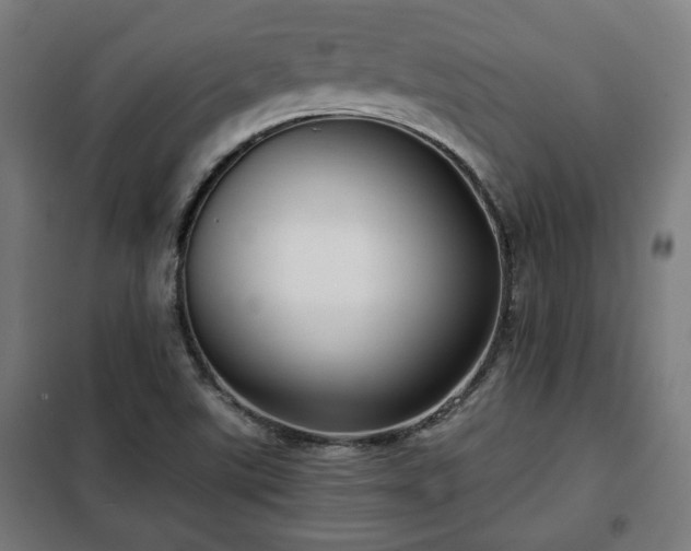 X0000102011507200807251256