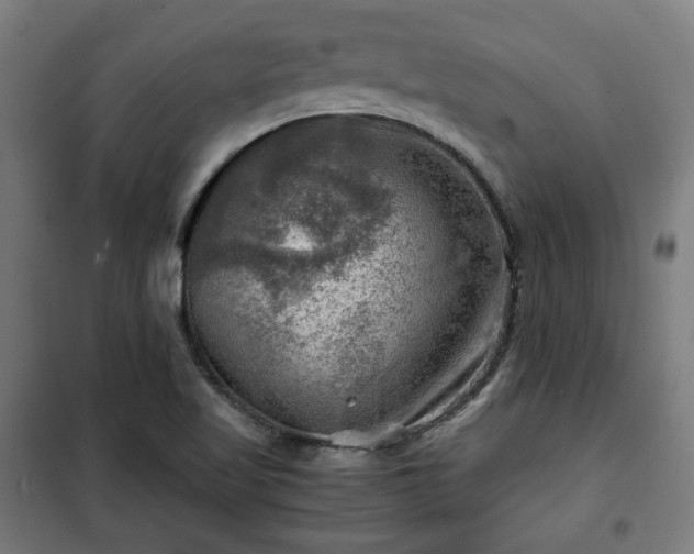 X0000102011509200807251256