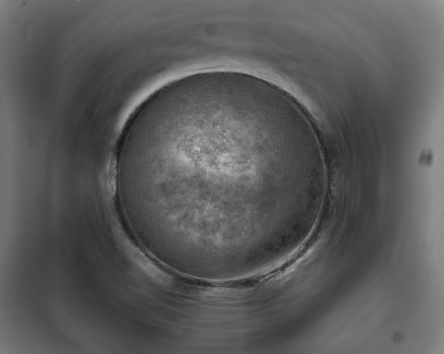 X0000102011510200807251256