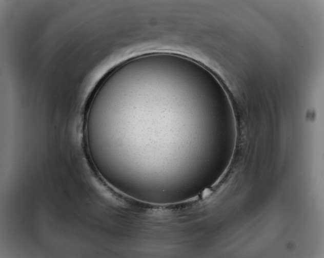 X0000102011511200807251256