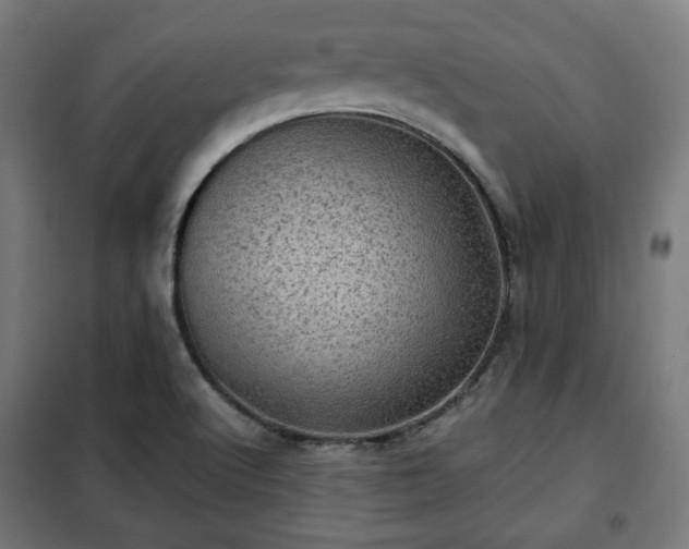 X0000102011512200807251256