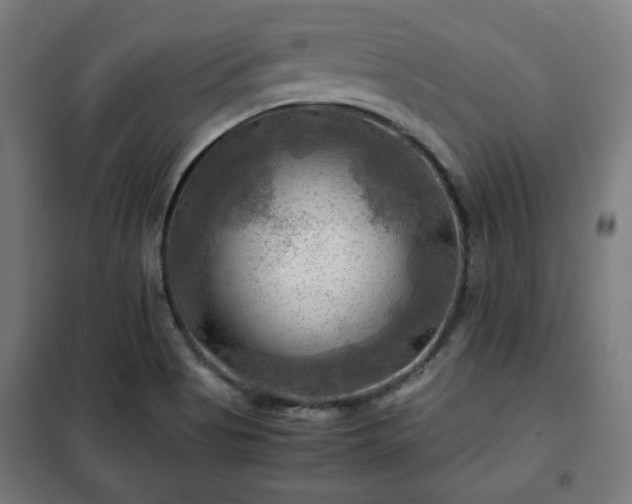 X0000102011513200807251256