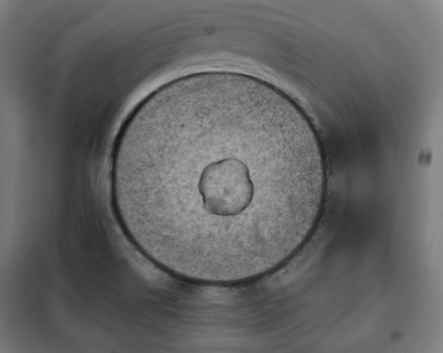 X0000102011514200807251256