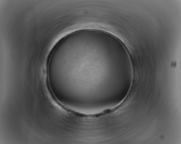 X0000102011515200807251256