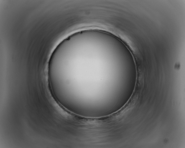 X0000102011516200807251256