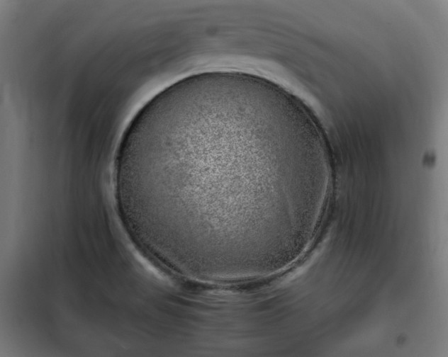 X0000102011517200807251256