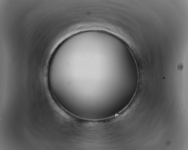 X0000102011518200807251256