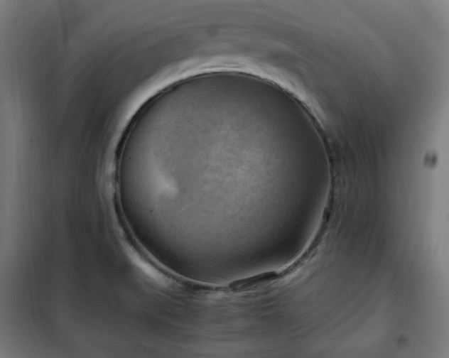 X0000102011519200807251256