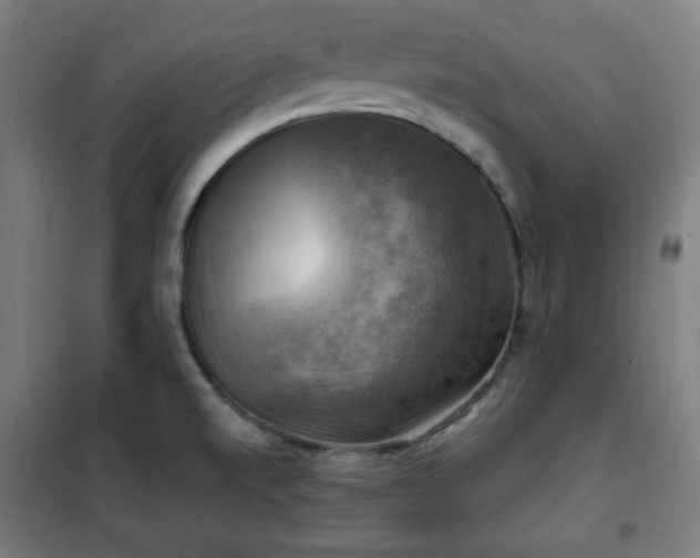 X0000102011520200807251256