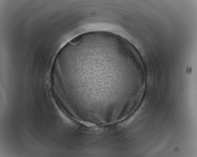 X0000102011521200807251256