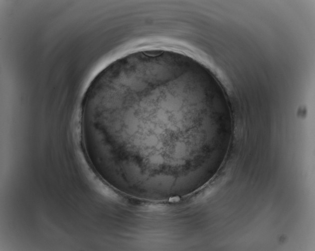X0000102011522200807251256