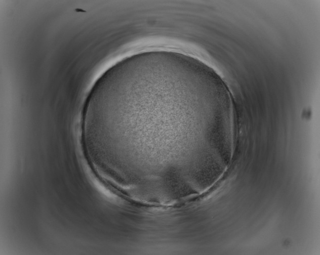 X0000102011523200807251256