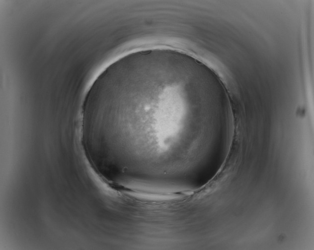 X0000102011524200807251256