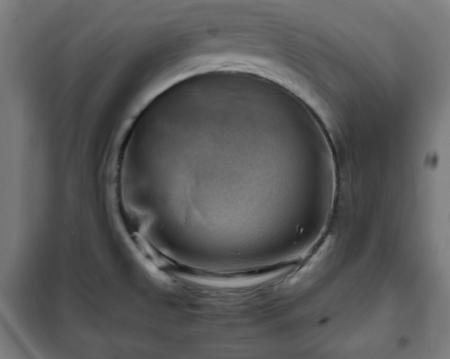 X0000102011525200807251256