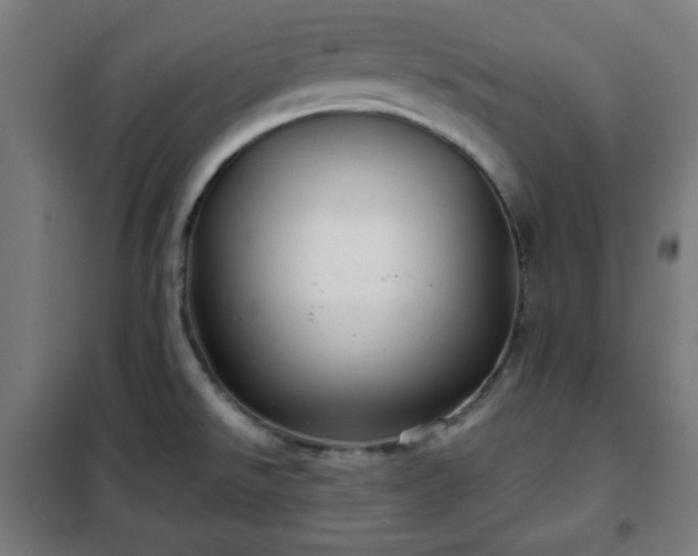 X0000102011526200807251256