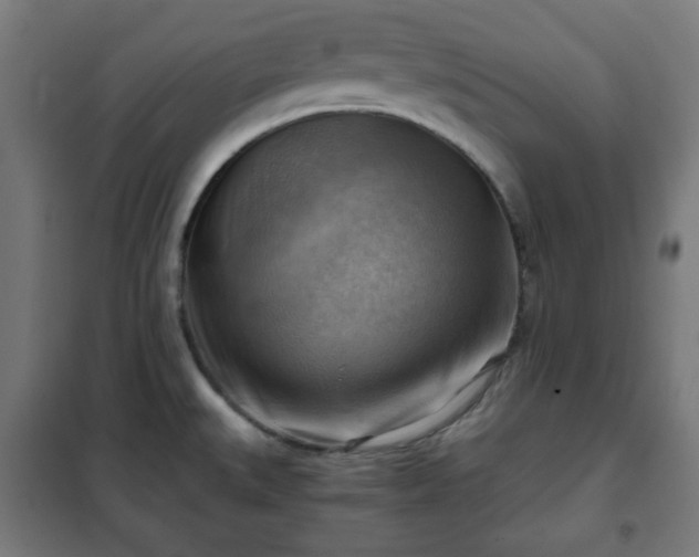 X0000102011527200807251256