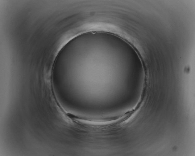 X0000102011529200807251256