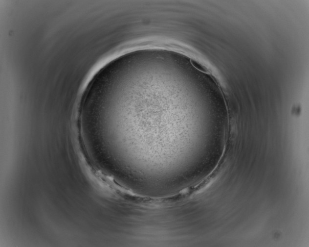 X0000102011530200807251256