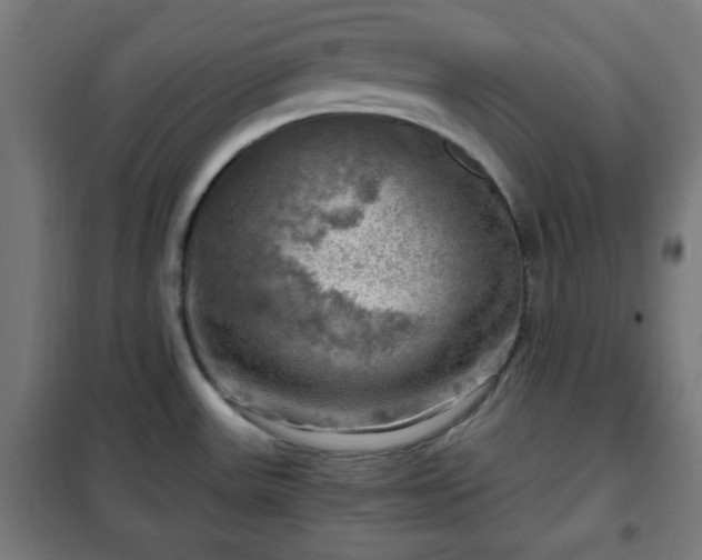 X0000102011531200807251256