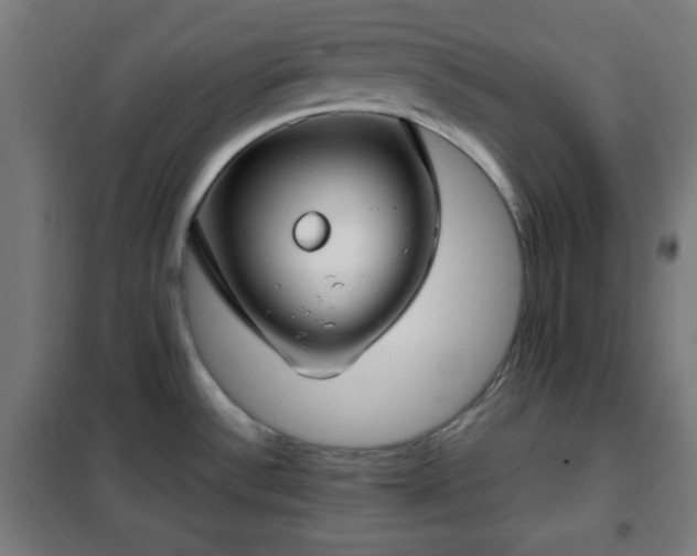 X0000102011532200807251256