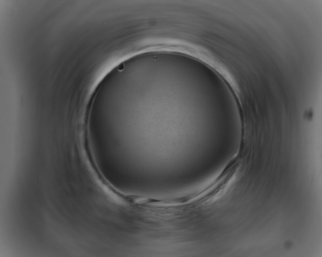 X0000102011533200807251256