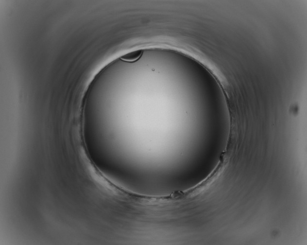X0000102011534200807251256