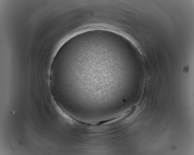 X0000102011535200807251256