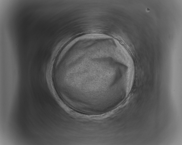 X0000102010001200808011152