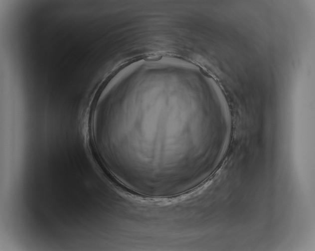 X0000102010002200808011152